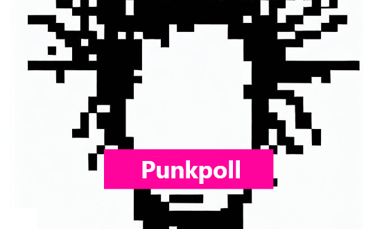 Secure and Transparent Democracy, Punkpoll